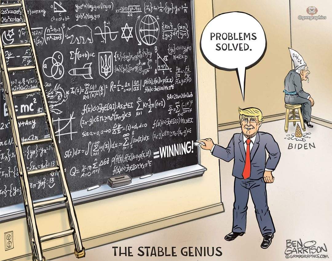 A Winning Equation -The Stable Genius panel 1
